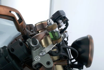 DUCATI 1199 PANIGALE LLC NAKED