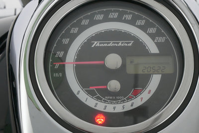 TRIUMPH THUNDERBIRD 1600