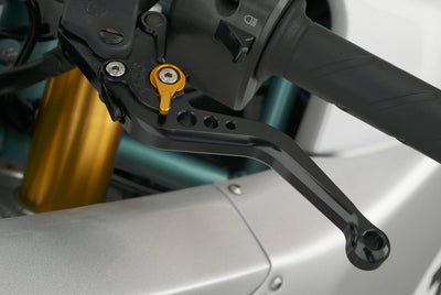 DUCATI PAUL SMART 1000