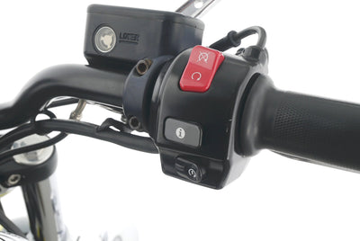 TRIUMPH THUNDERBIRD 1600