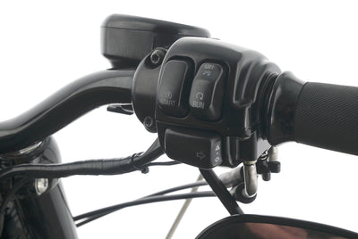 HARLEY DAVIDSON SPORTSTER XL 1200 48 FORTY