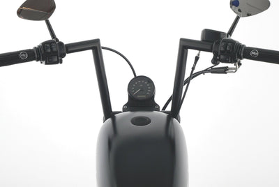 HARLEY DAVIDSON SPORTSTER XL 1200 48 FORTY