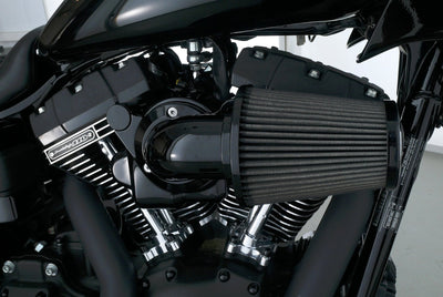 HARLEY DAVIDSON DYNA LOW RIDER S