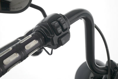 HARLEY DAVIDSON SOFTAIL FAT BOY LOW