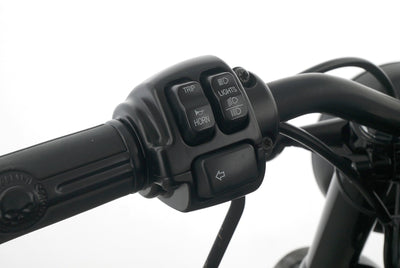 HARLEY DAVIDSON SPORTSTER XL 1200 48 FORTY