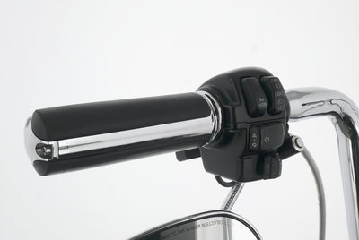 HARLEY DAVIDSON ROAD KING CLASSIC CHICANO