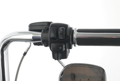 HARLEY DAVIDSON ROAD KING CLASSIC CHICANO