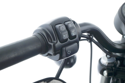 HARLEY DAVIDSON SPORTSTER XL 883 N IRON