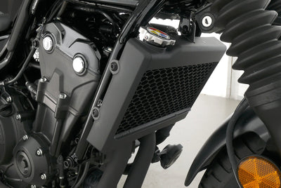 HONDA REBEL 500 SPECIAL EDITION