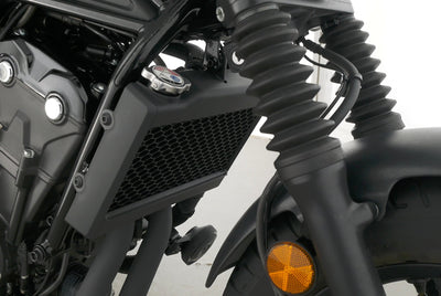 HONDA REBEL 500 SPECIAL EDITION