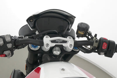 TRIUMPH SPEED TRIPLE 1050 RS