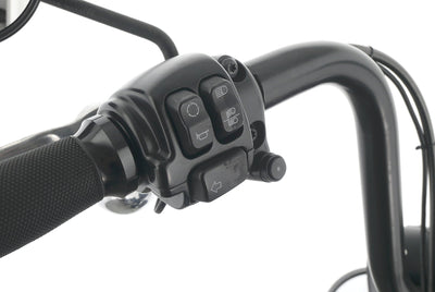 HARLEY DAVIDSON DYNA FAT BOB