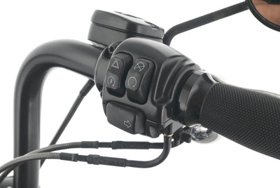 HARLEY DAVIDSON DYNA FAT BOB