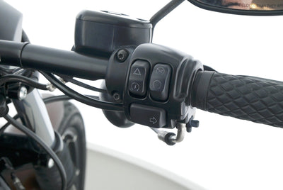 HARLEY DAVIDSON SPORTSTER XL 883 N IRON