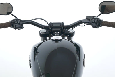 HARLEY DAVIDSON SOFTAIL STREET BOB 107