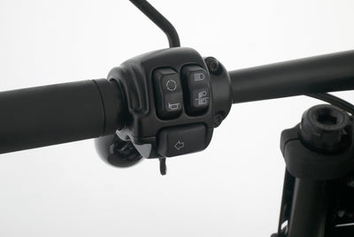 HARLEY DAVIDSON SOFTAIL FAT BOB 114