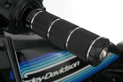 HARLEY DAVIDSON SPORTSTER XL 1200 NS IRON