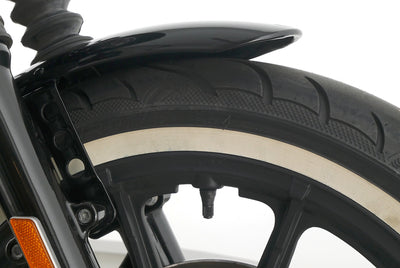 HARLEY DAVIDSON SPORTSTER XL 1200 NS IRON