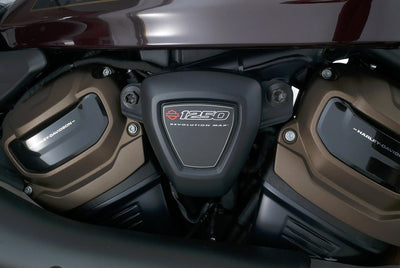 HARLEY DAVIDSON SPORTSTER S