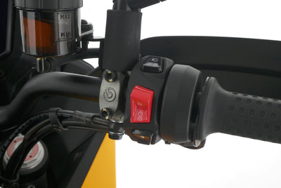 MOTO GUZZI V100 STELVIO PFF