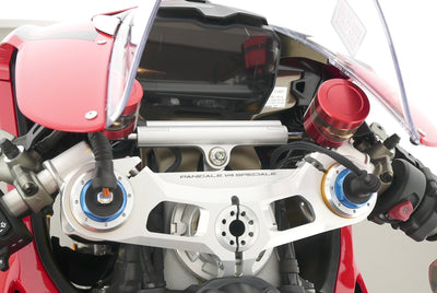 DUCATI PANIGALE V4 S