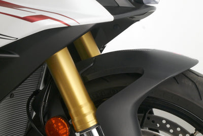 APRILIA TUONO V4 1100