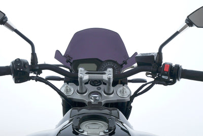 YAMAHA FZ 1 N