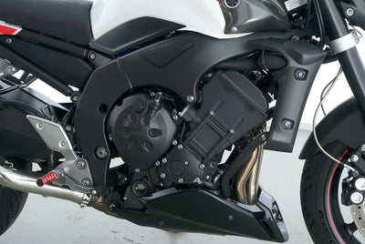 YAMAHA FZ 1 N