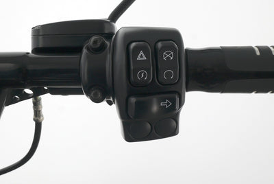 HARLEY DAVIDSON ROAD KING SPECIAL 114