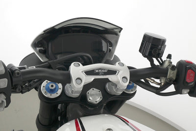 TRIUMPH SPEED TRIPLE 1050 RS