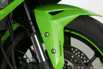 KAWASAKI ZX-4RR