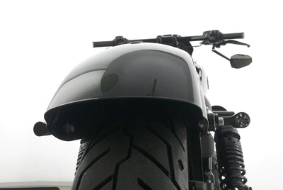 HARLEY DAVIDSON DYNA LOW RIDER S