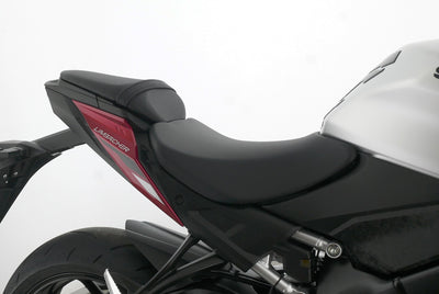 SUZUKI GSX S 1000
