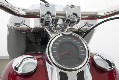 HARLEY DAVIDSON SOFTAIL FAT BOY 114