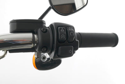 HARLEY DAVIDSON SOFTAIL BREAKOUT 114