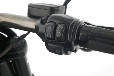 HARLEY DAVIDSON BREAKOUT PRO STREET CVO