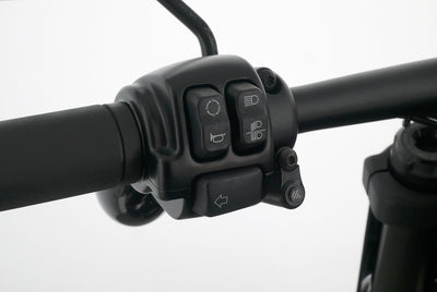 HARLEY DAVIDSON SOFTAIL FAT BOB 114