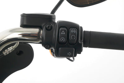 HARLEY DAVIDSON SOFTAIL SPORT GLIDE