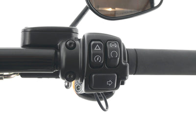 HARLEY DAVIDSON SOFTAIL BREAKOUT 114