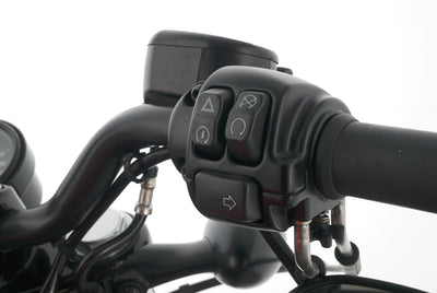 HARLEY DAVIDSON SPORTSTER XL 1200 48 FORTY