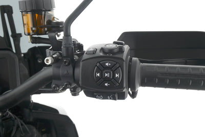 HARLEY DAVIDSON PAN AMERICA SPECIAL 1250S