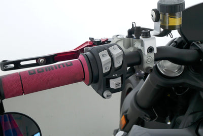 DUCATI MONSTER 950 +