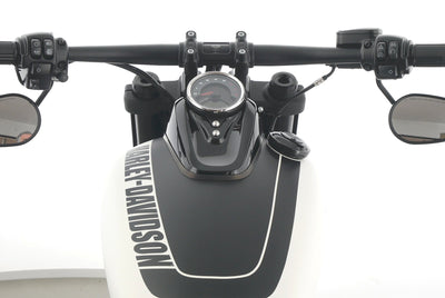 HARLEY DAVIDSON SOFTAIL FAT BOB 114