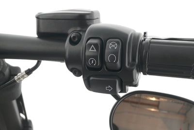 HARLEY DAVIDSON SOFTAIL FAT BOB 114