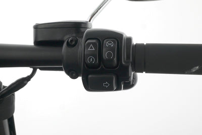 HARLEY DAVIDSON SOFTAIL FAT BOB 114