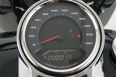 HARLEY DAVIDSON SOFTAIL FAT BOY 114