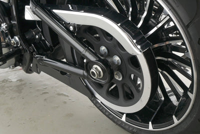 HARLEY DAVIDSON SOFTAIL BREAKOUT 117