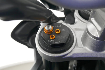 YAMAHA MT 10
