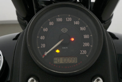 HARLEY DAVIDSON DYNA LOW RIDER S