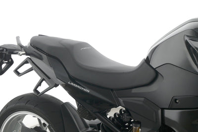 BMW F 900 R